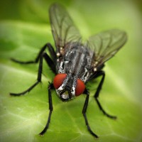 /album/parajumpers-france/photolia-a01-jpg/