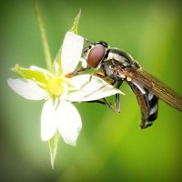 /album/parajumpers-france/photolia-a02-jpg/