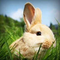 /album/parajumpers-france/photolia-a03-jpg/