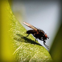 /album/parajumpers-france/photolia-a04-jpg/