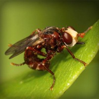 /album/parajumpers-france/photolia-a06-jpg/