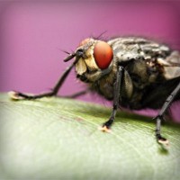 /album/parajumpers-france/photolia-a08-jpg/